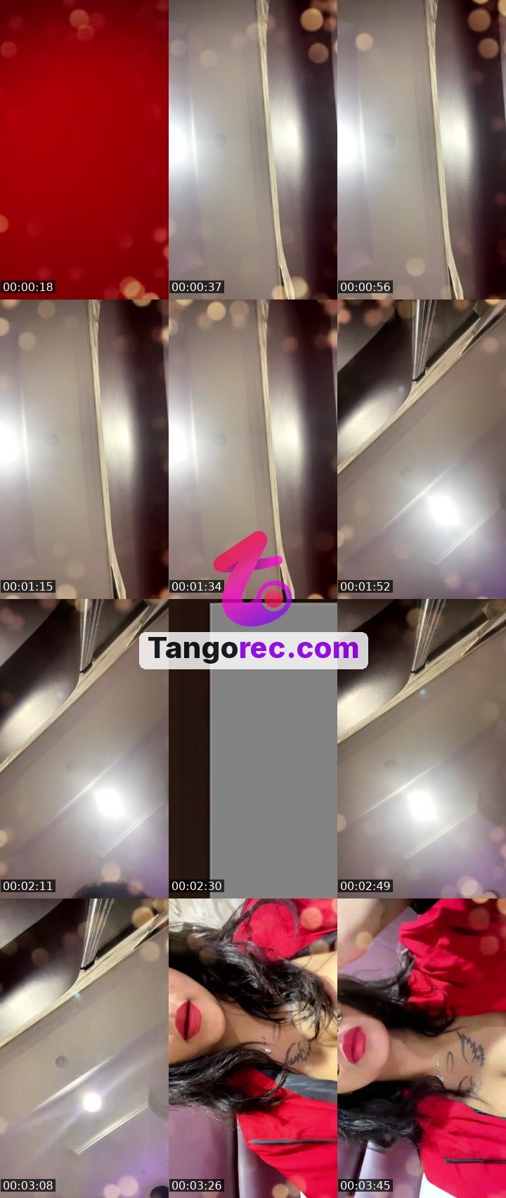 @ironbull-305617 Tango live from 2026-09-07