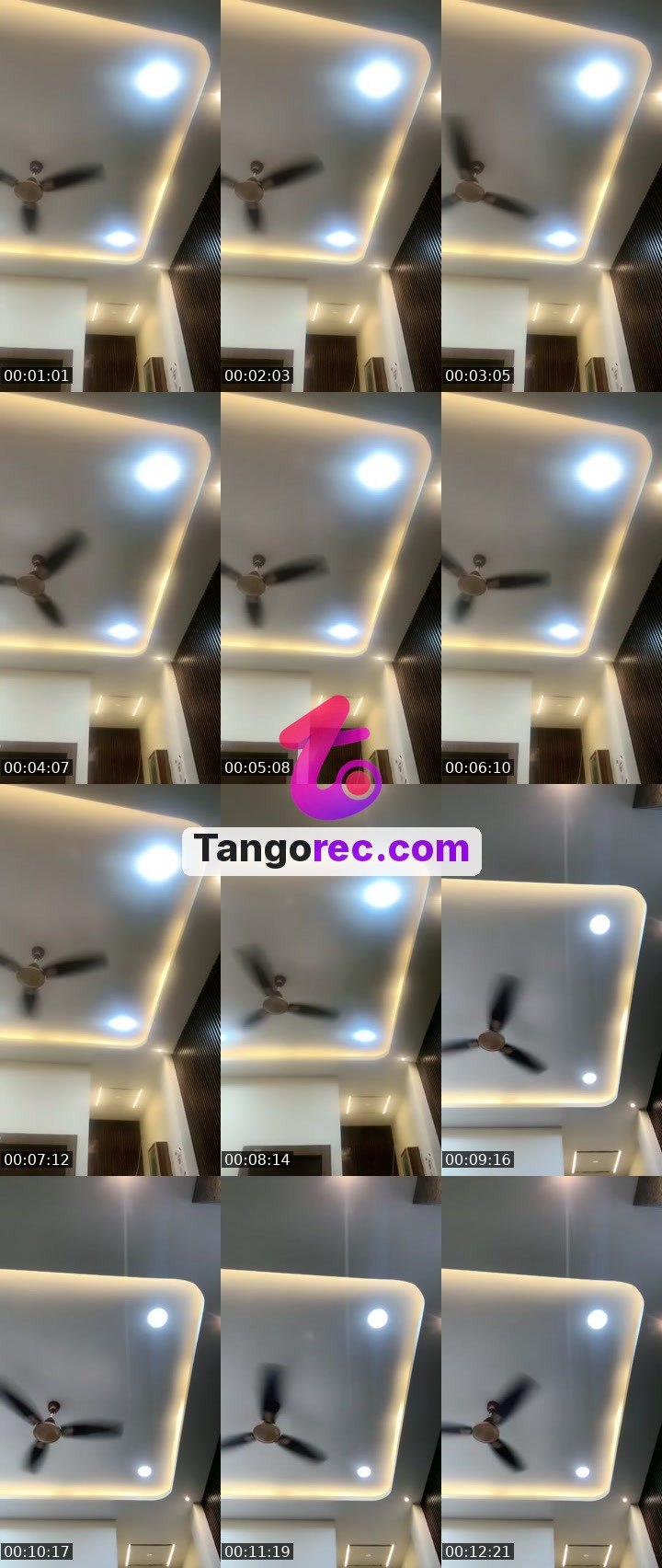 @abundancequeen2314 Tango live from 2026-09-07