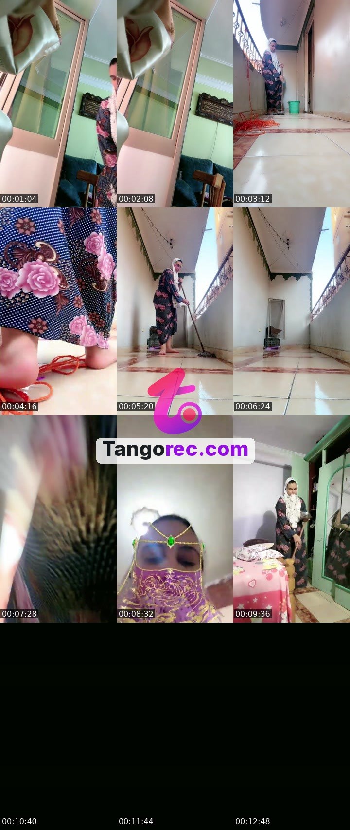 @rapidcat-100152 Tango live from 2026-09-07