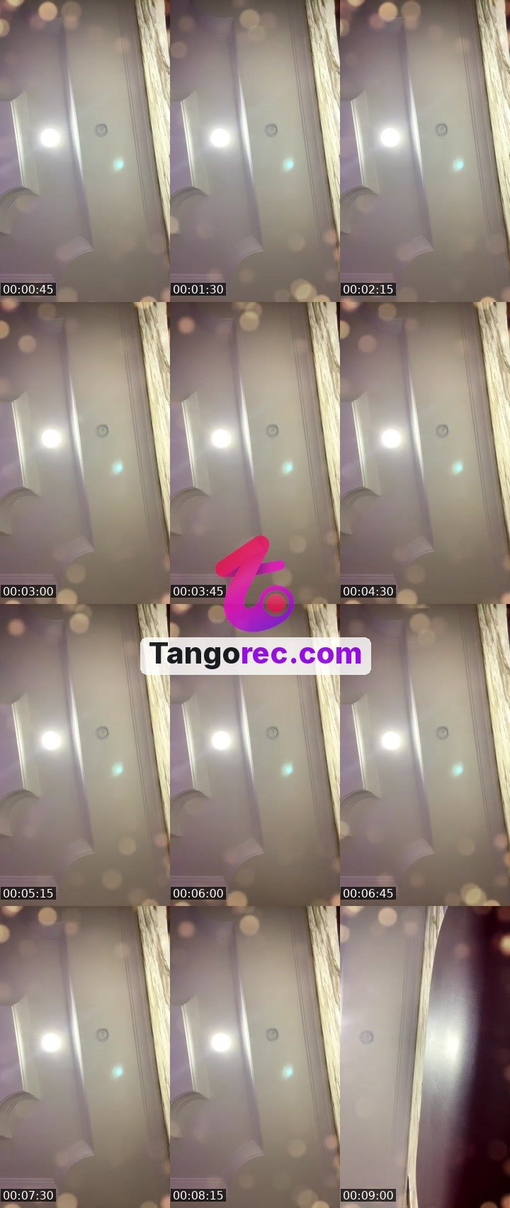 @ironbull-305617 Tango live from 2026-09-07