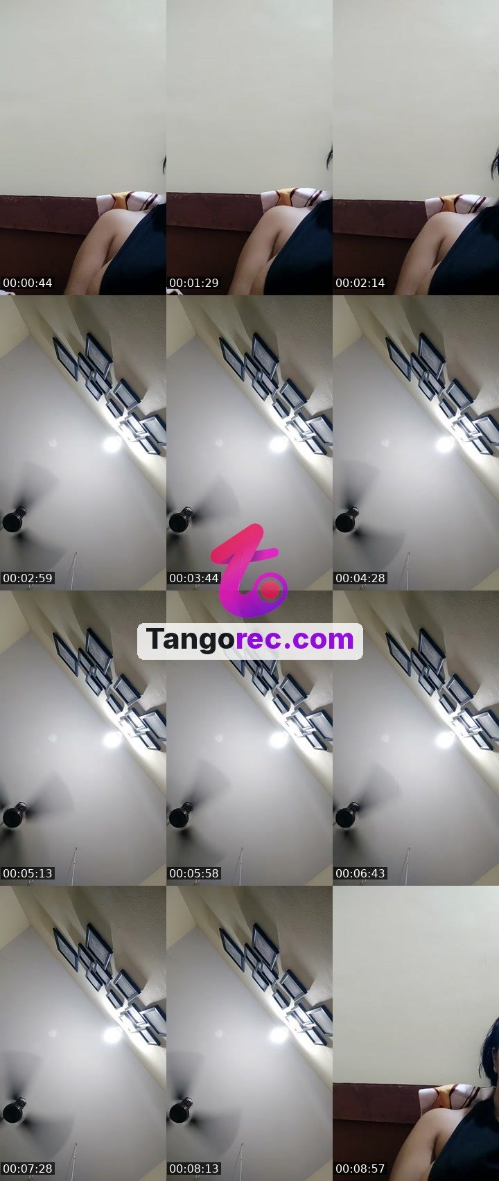 @0291s83 Tango live from 2026-09-07