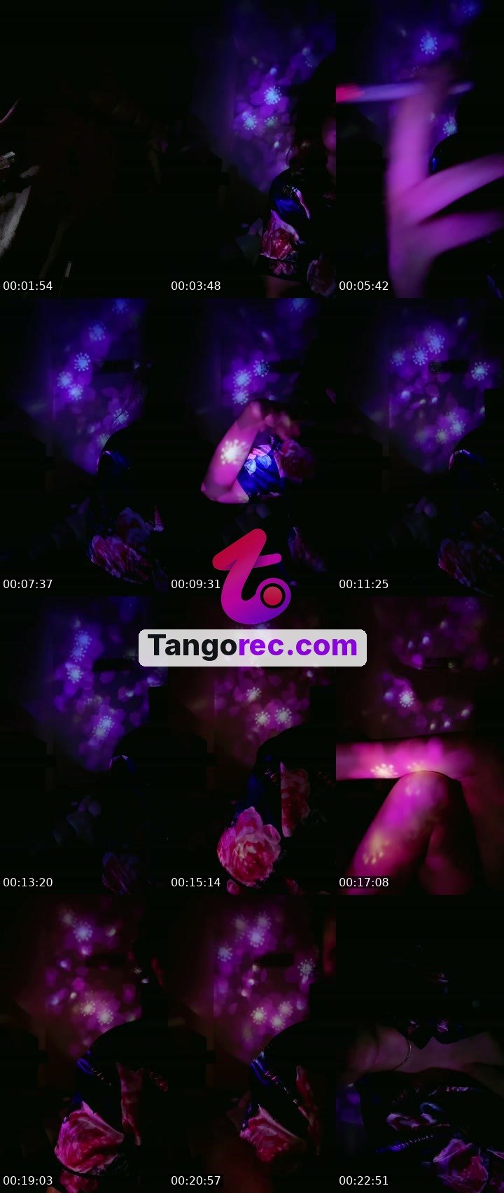 @dzluluksa Tango live from 2026-09-07