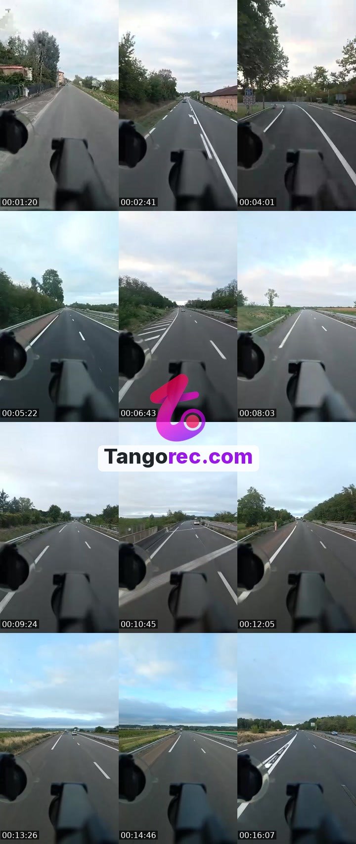 @businessbull-540545 Tango live from 2026-09-08