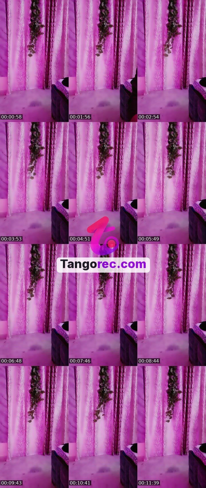 @haaraj Tango live from 2026-09-08
