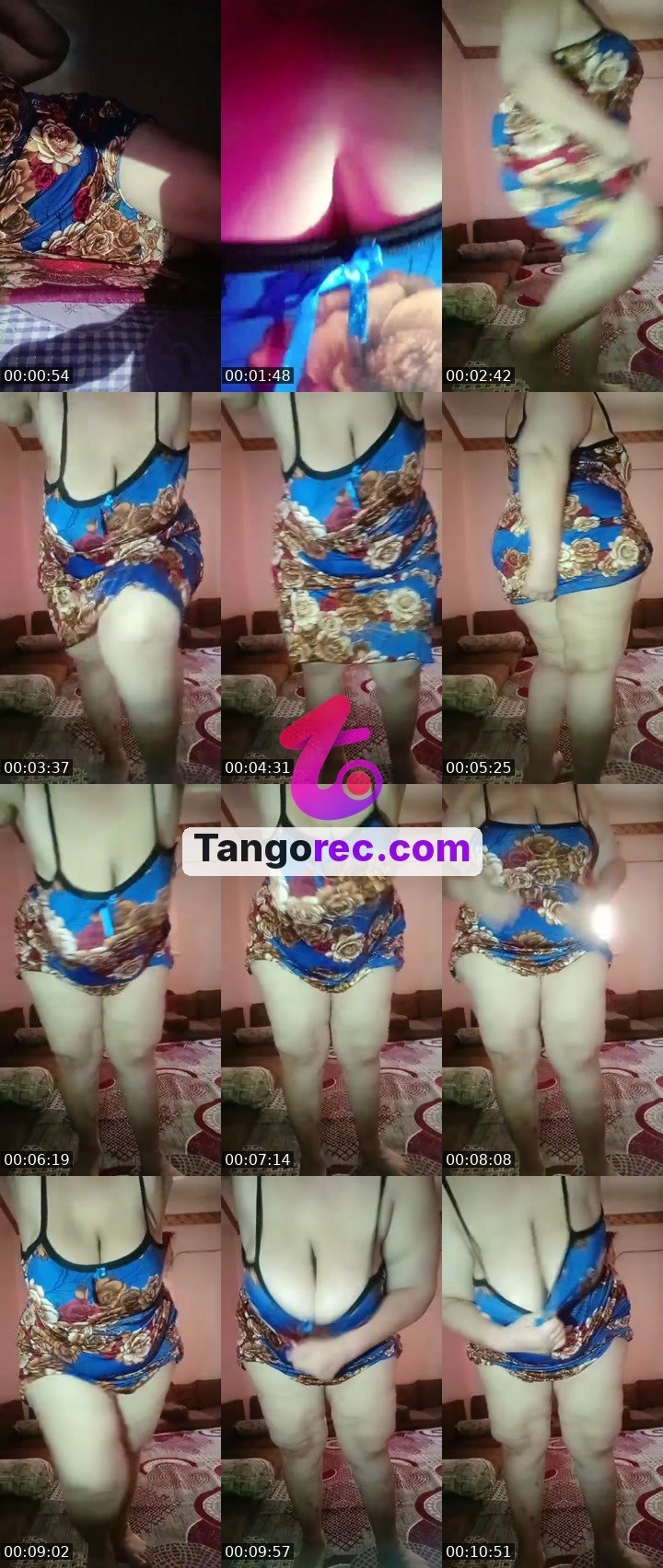 @glorious-cat-91067 Tango live from 2026-09-08