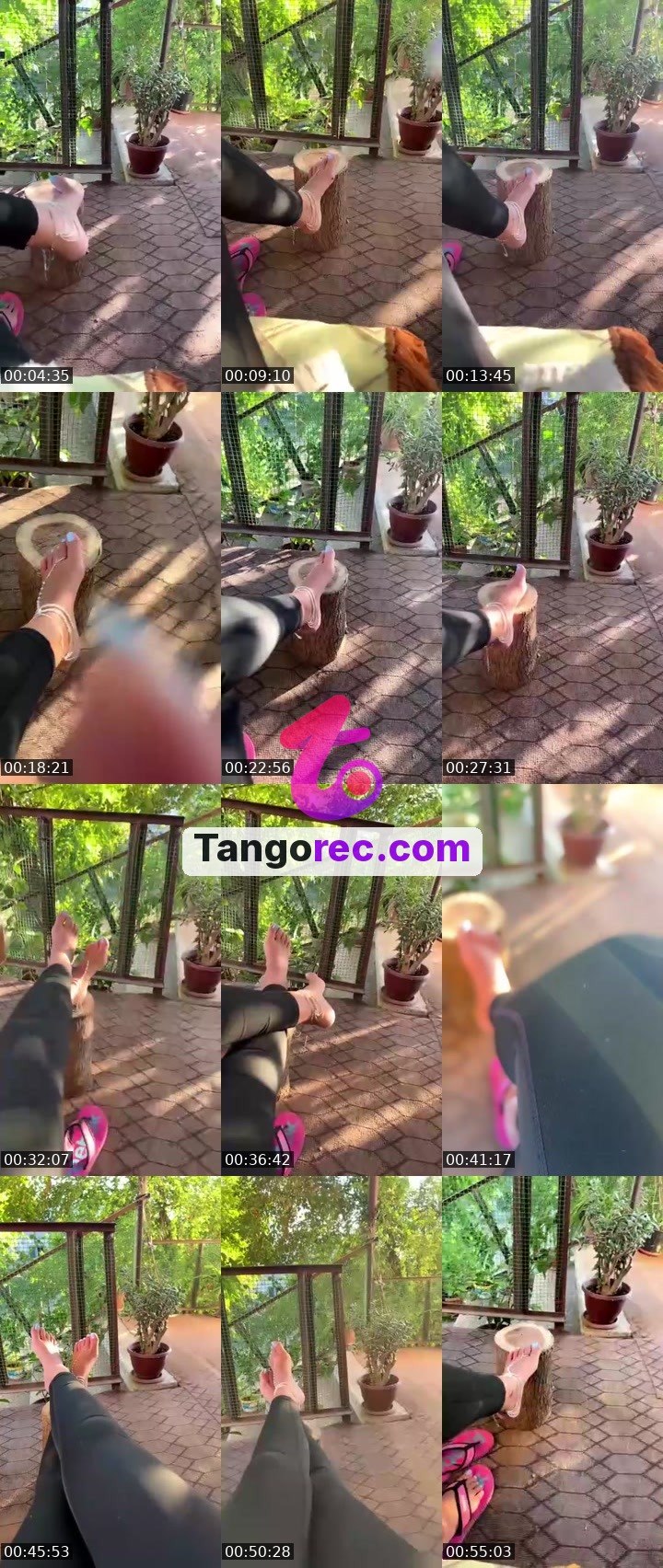 @my_majesty Tango live from 2026-09-08
