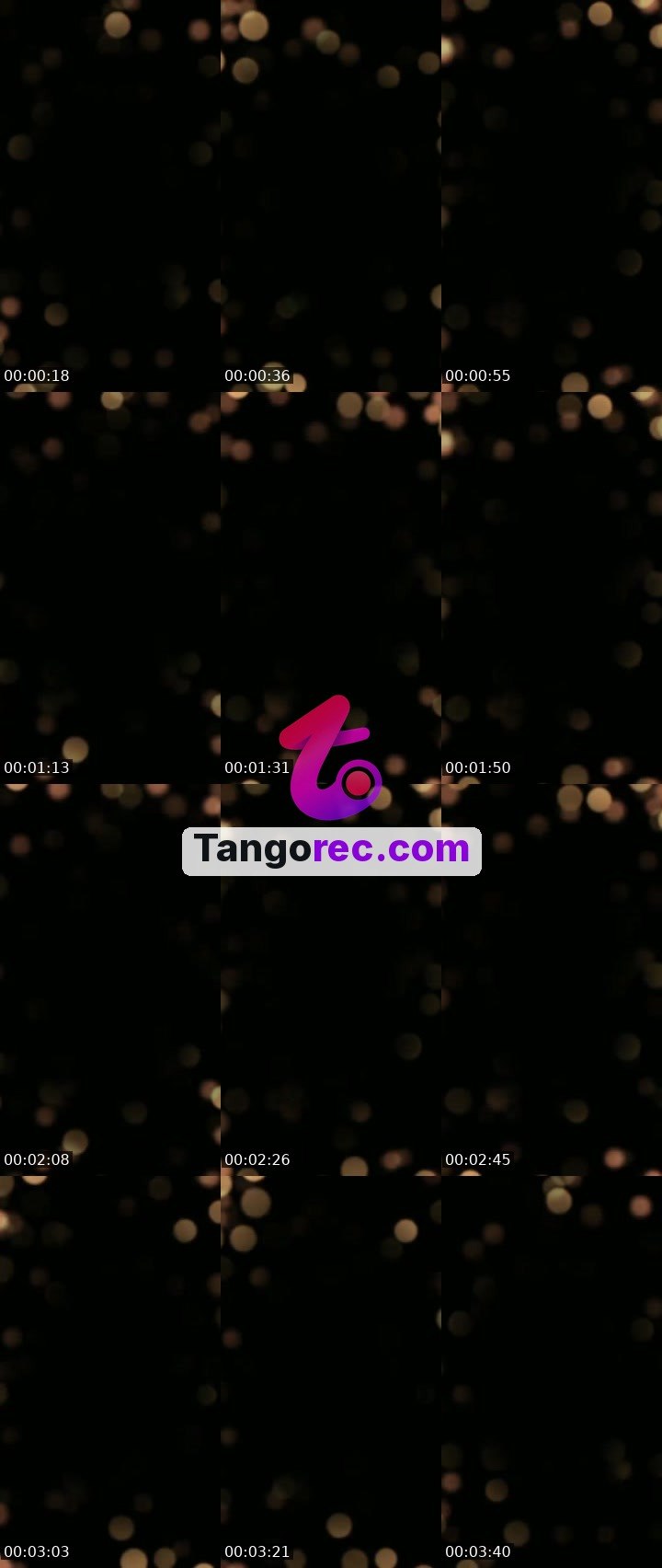 @ironbull-305617 Tango live from 2026-09-08