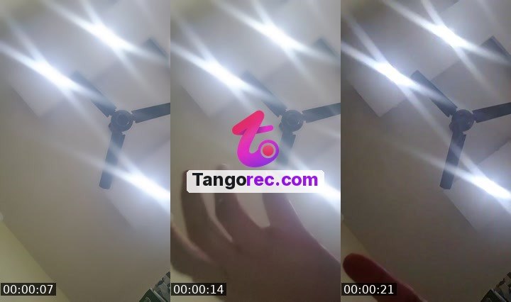 @siyanora Tango live from 2026-09-08