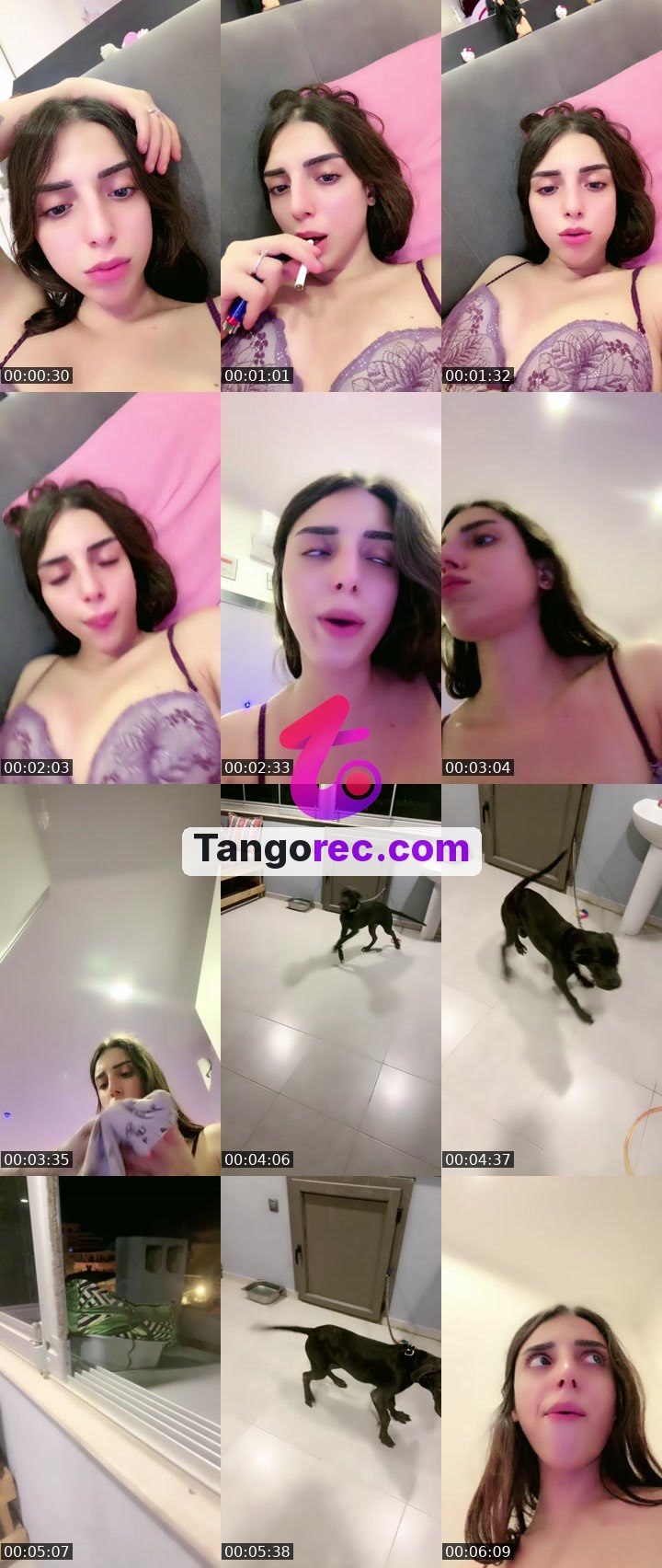 @usercik2 Tango live from 2026-09-08