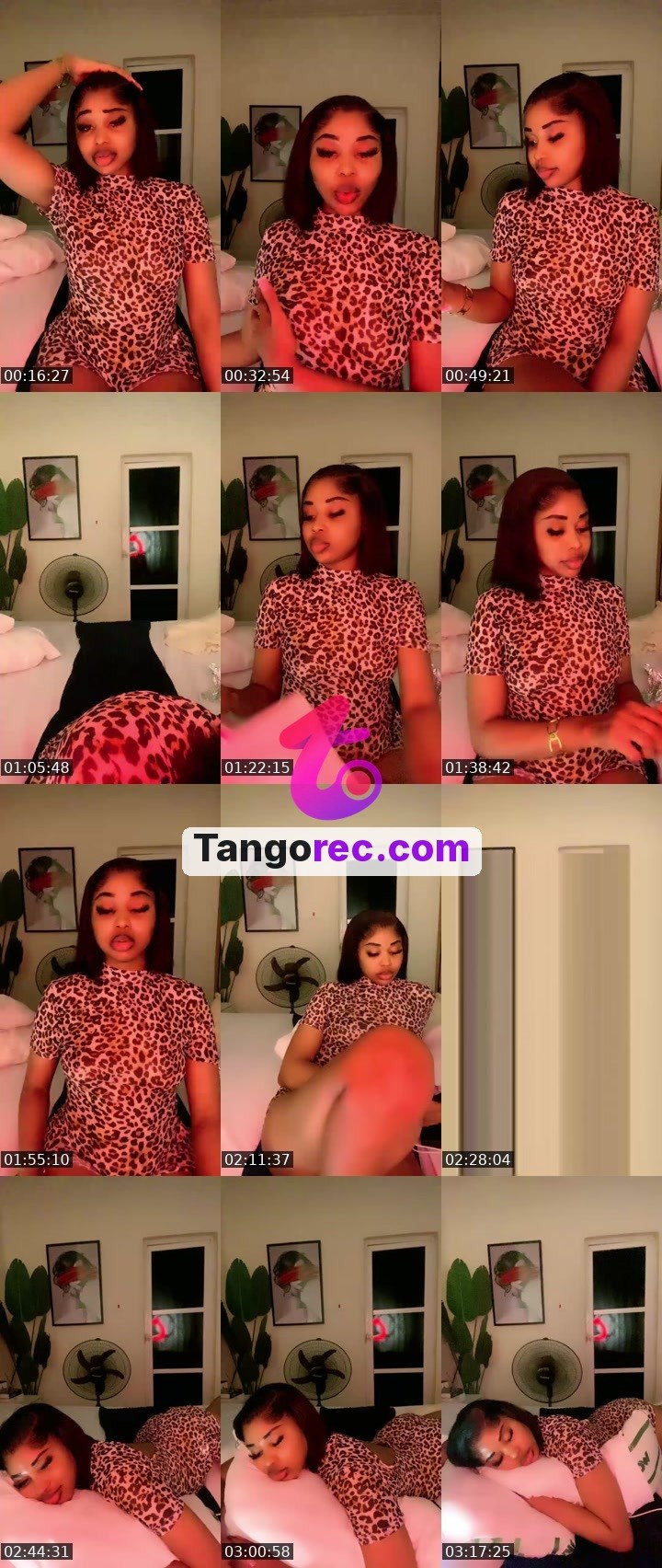@cuppy_cake Tango live from 2026-09-09