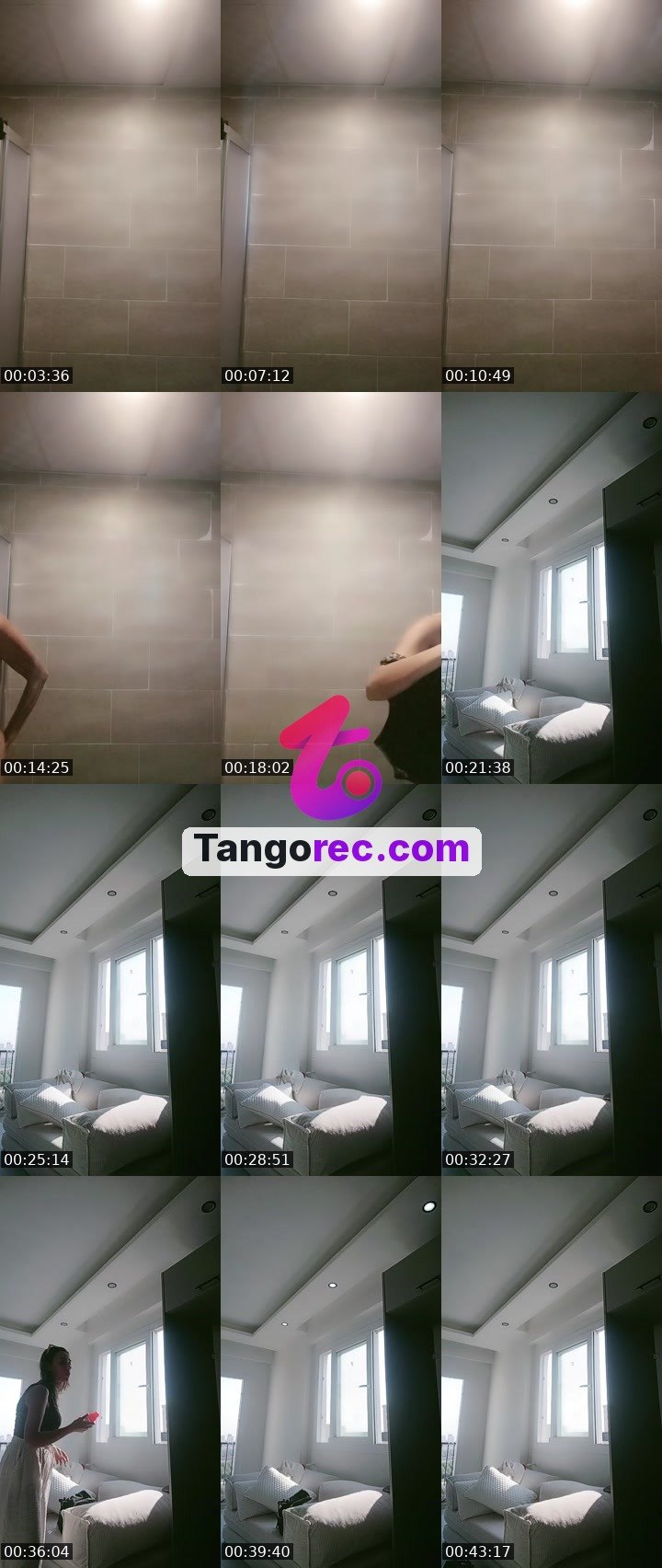 @alevv34_2 Tango live from 2026-09-09