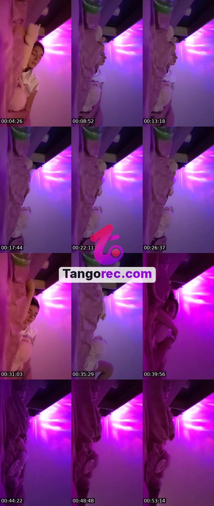 @alina0212 Tango live from 2026-09-09