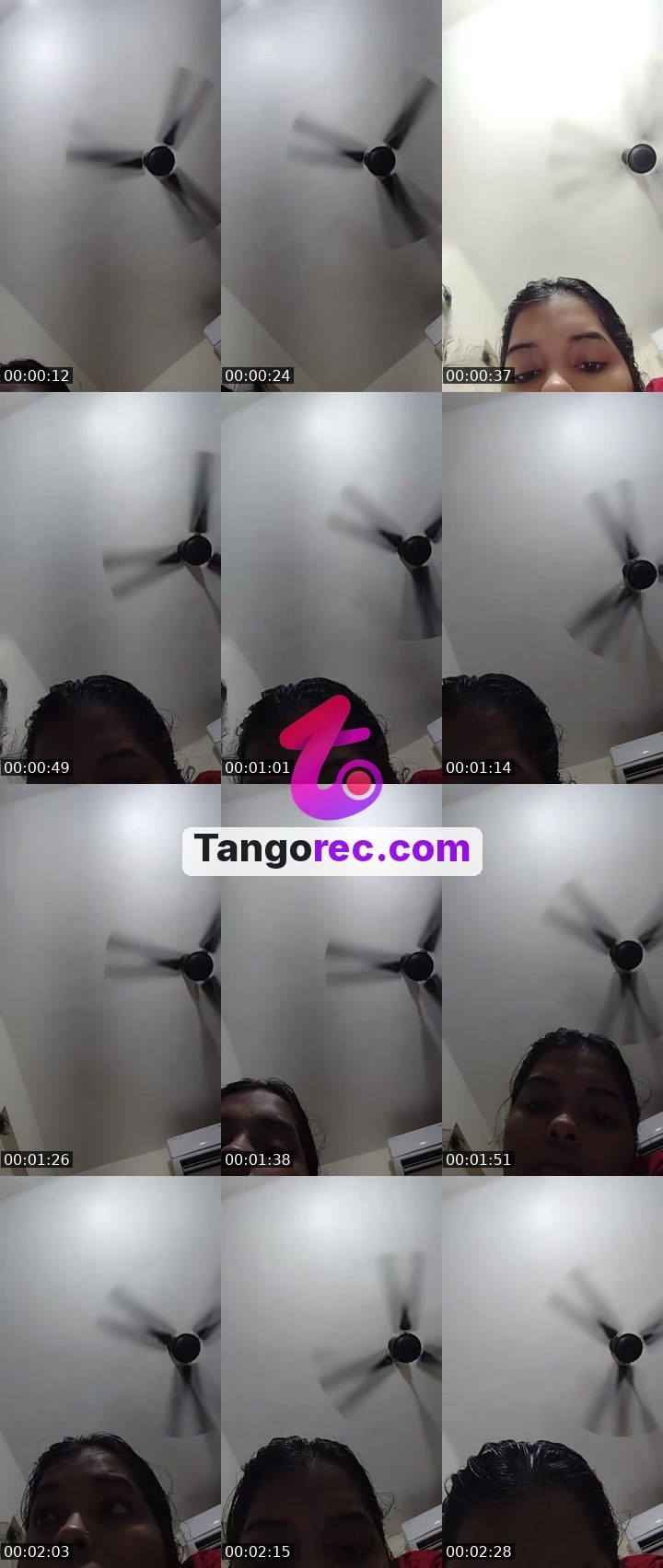 @nibba0121 Tango live from 2026-09-09