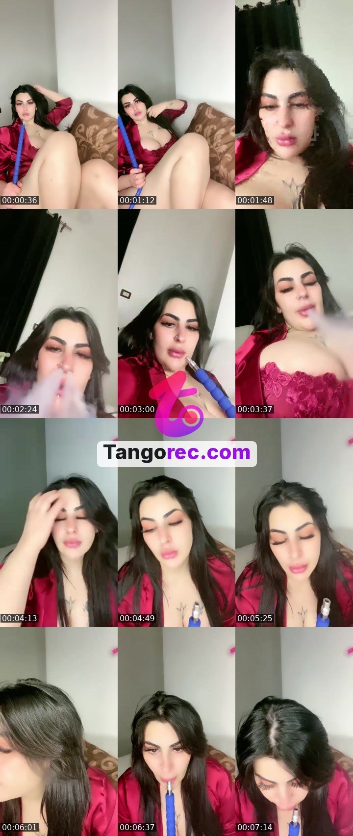 @shahd Tango live from 2026-09-10