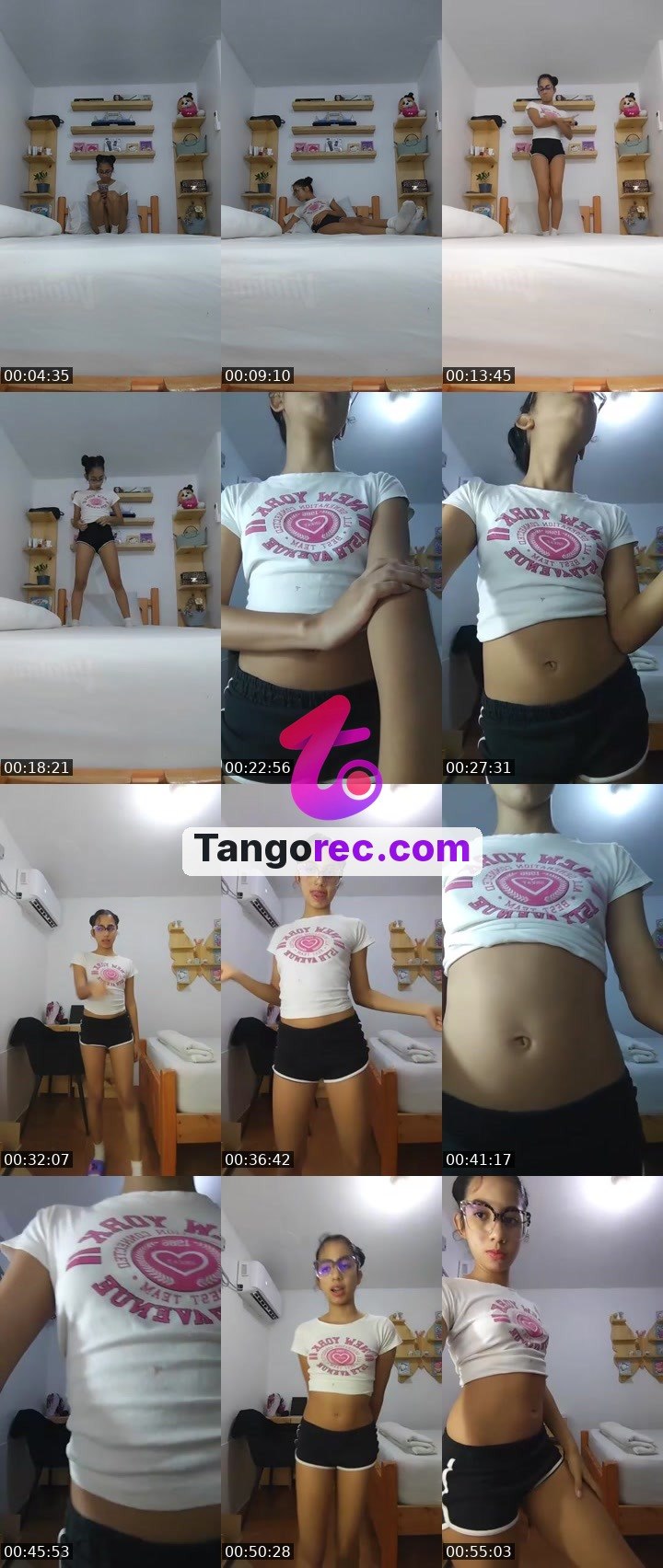 @dolphin6 Tango live from 2026-09-10