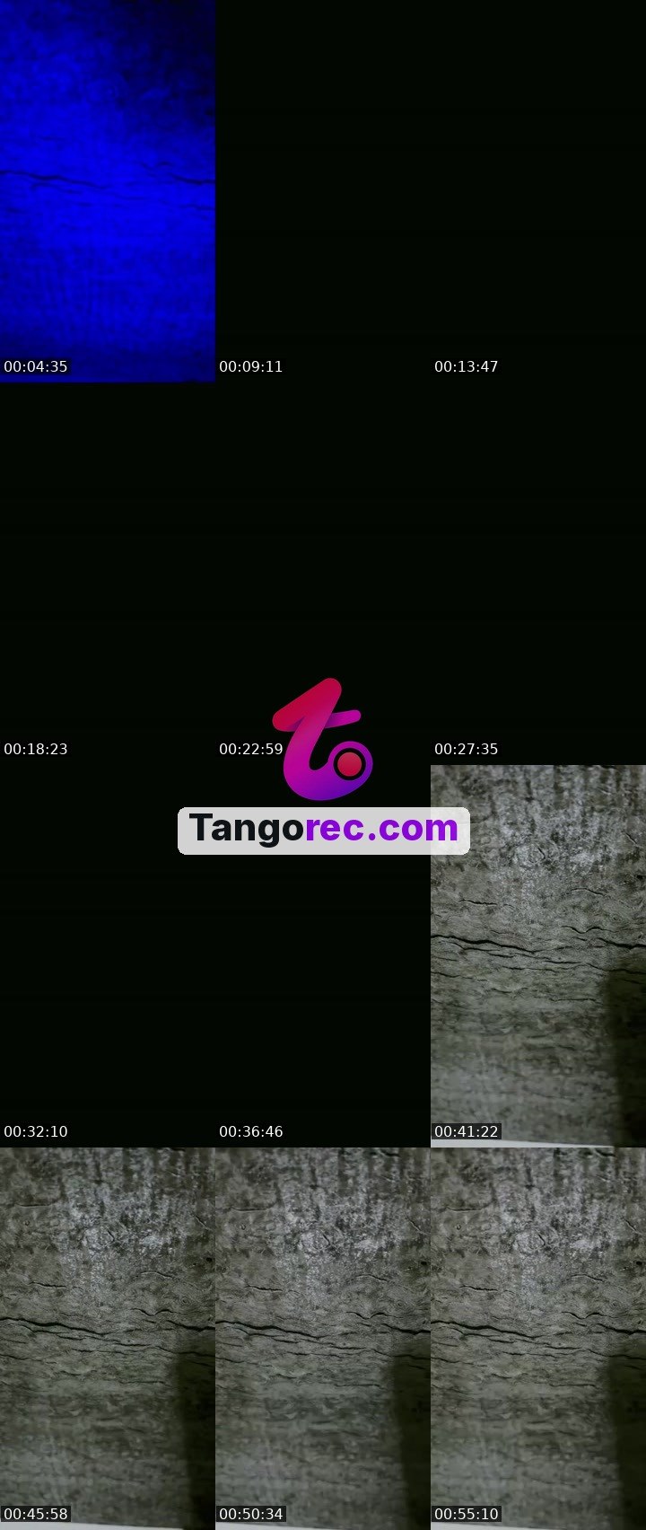 @nancyrajput1219 Tango live from 2026-09-10