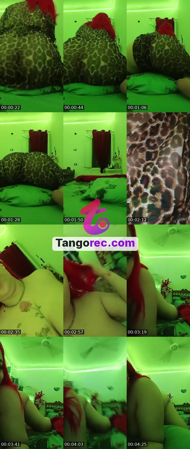 @maestrorabbit-69885 Tango live from 2026-09-10