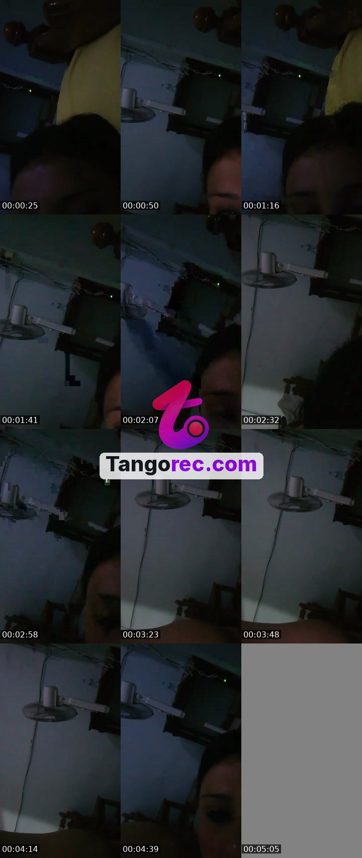 @dancing-fox-81516 Tango live from 2026-09-10