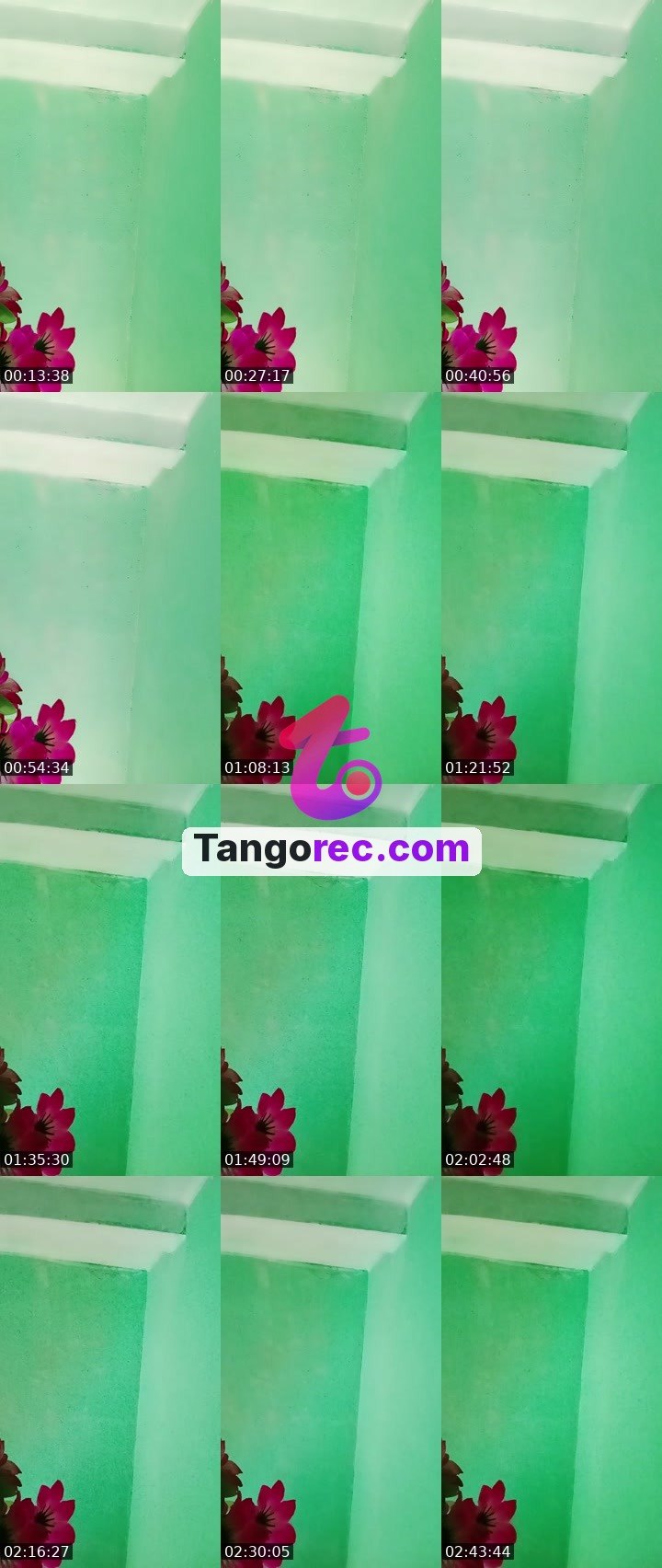 @killer190 Tango live from 2026-09-10