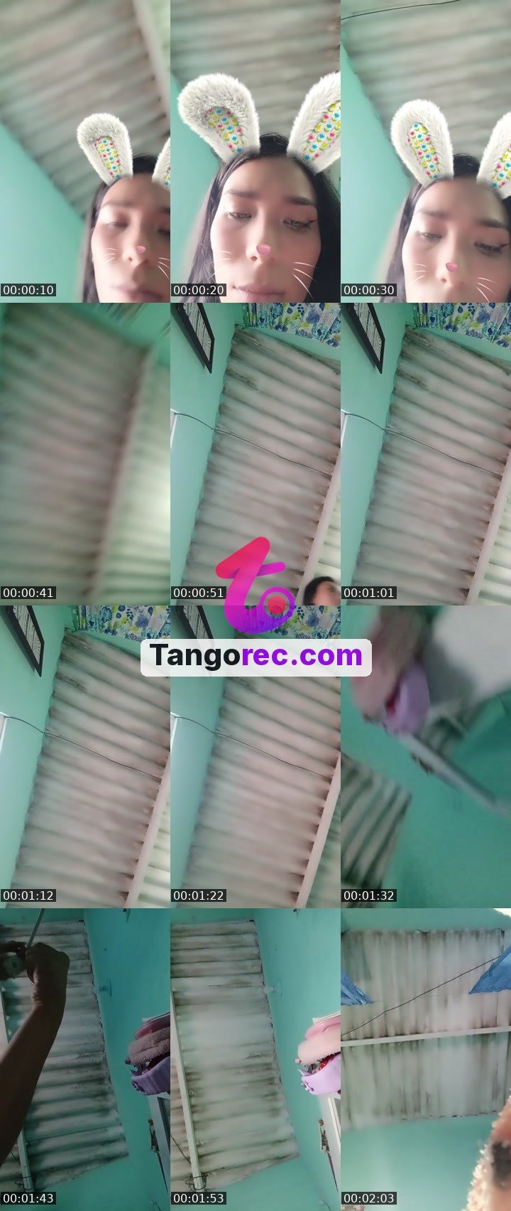 @camilu143 Tango live from 2026-09-10