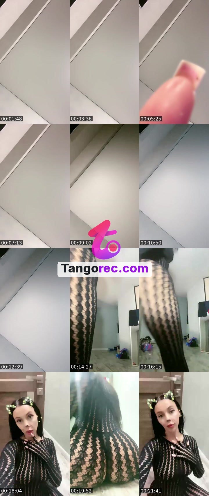 @meowrrrrrr Tango live from 2026-09-10
