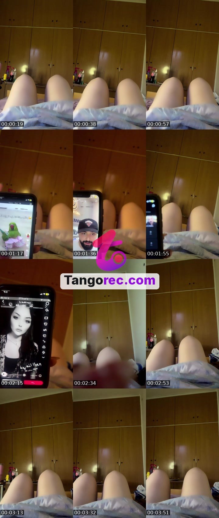 @pleasantgiraffe-122643 Tango live from 2026-09-10