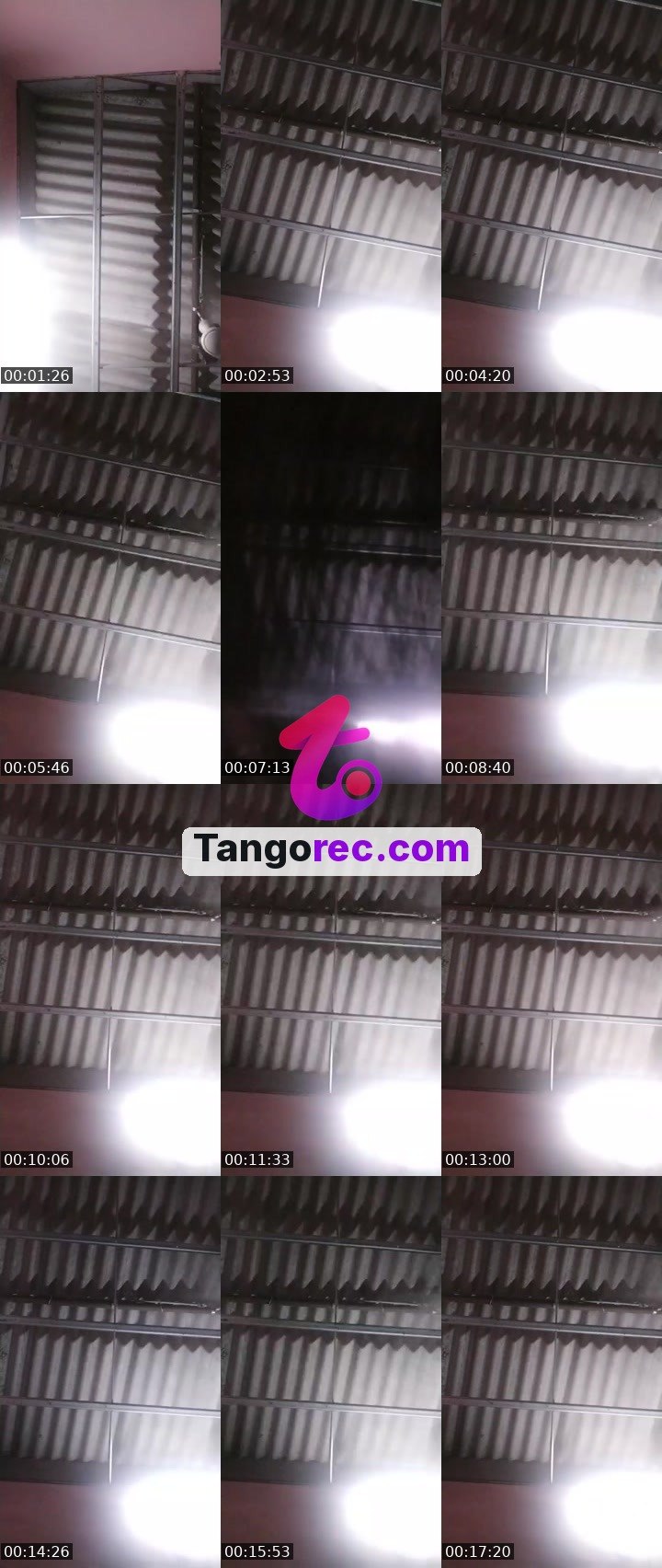@pleasecheckmyid Tango live from 2026-09-10