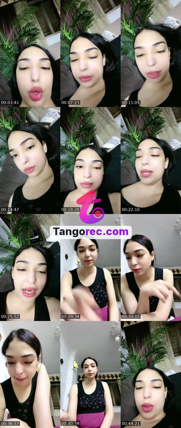 @fairozy4 Tango live from 2026-09-10