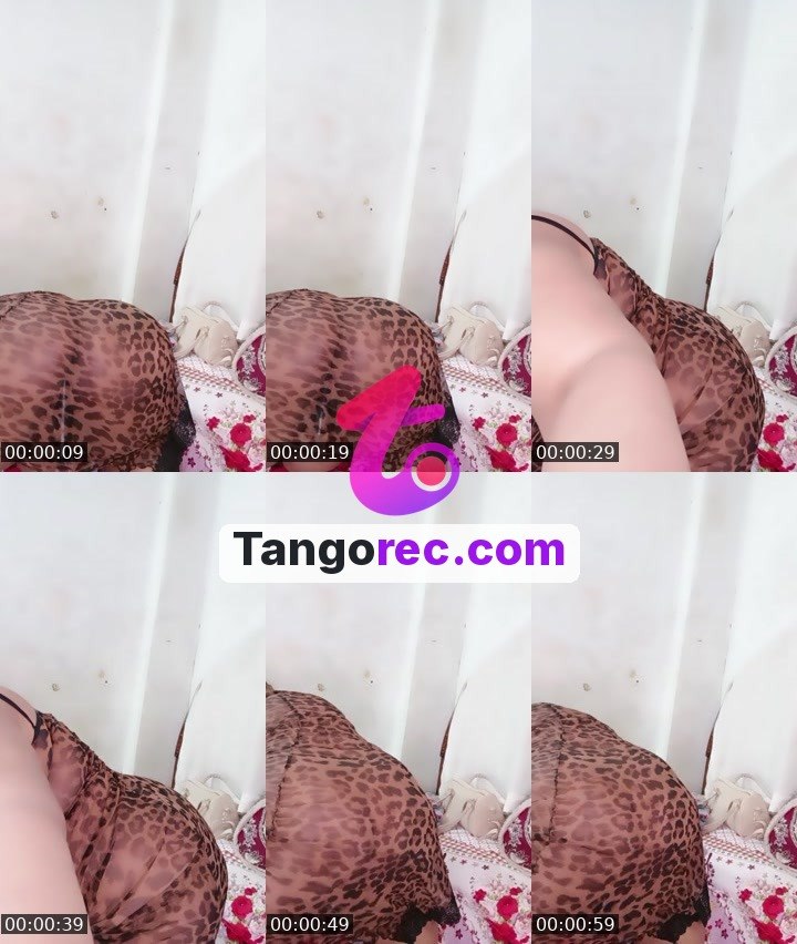 @sunrisei Tango live from 2026-09-11