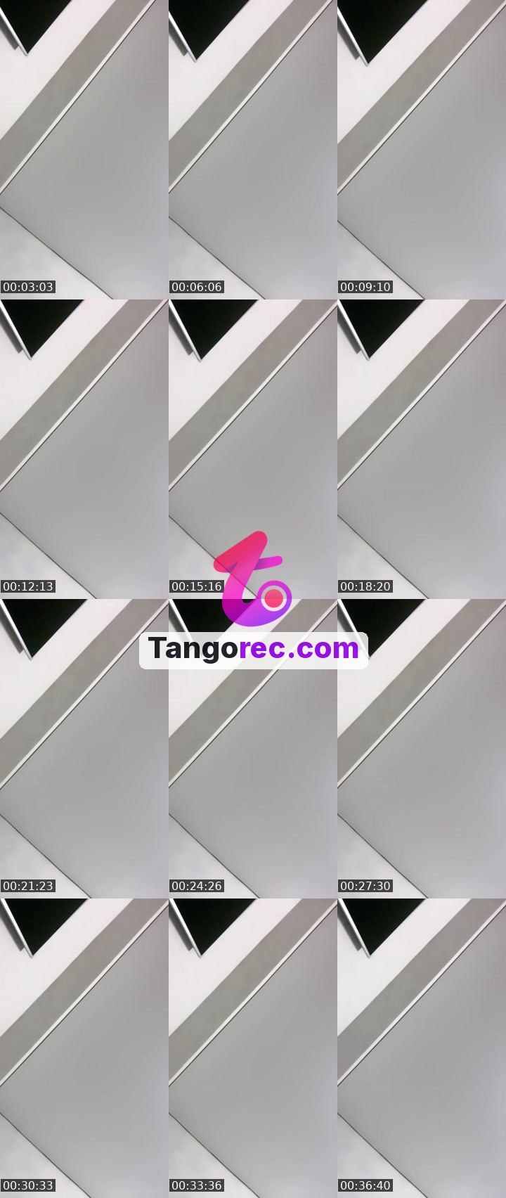 @meowrrrrrr Tango live from 2026-09-11