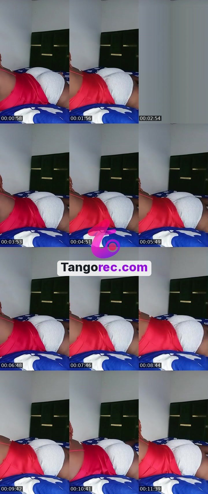 @hony884 Tango live from 2026-09-11