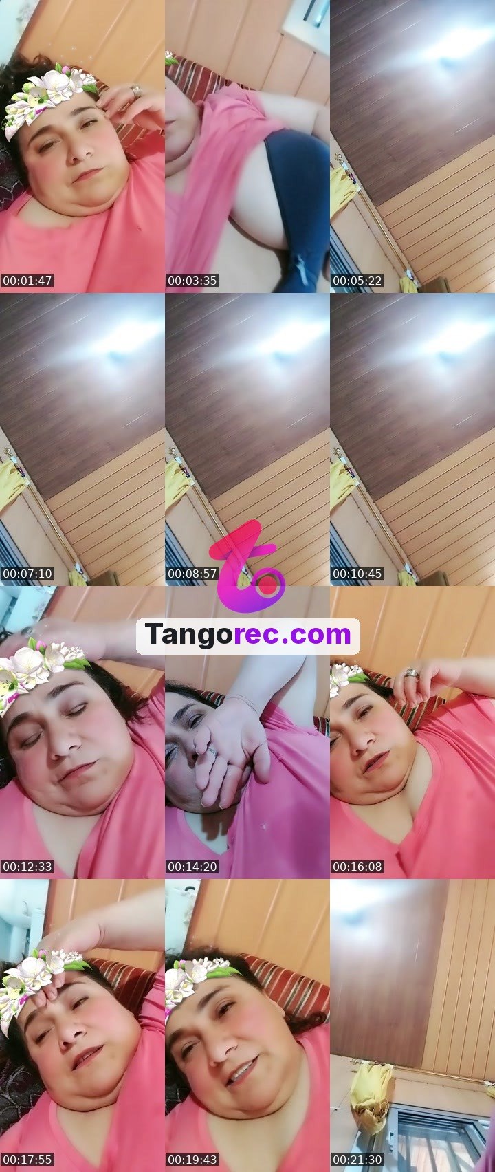 @zingollulu Tango live from 2026-09-11