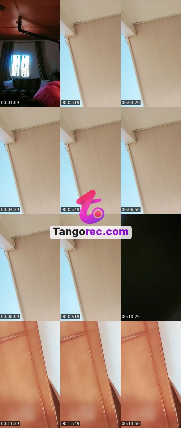 @zingollulu Tango live from 2026-09-11