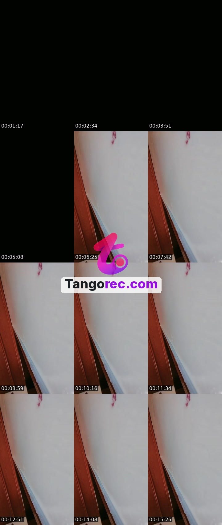 @zingollulu Tango live from 2026-09-11
