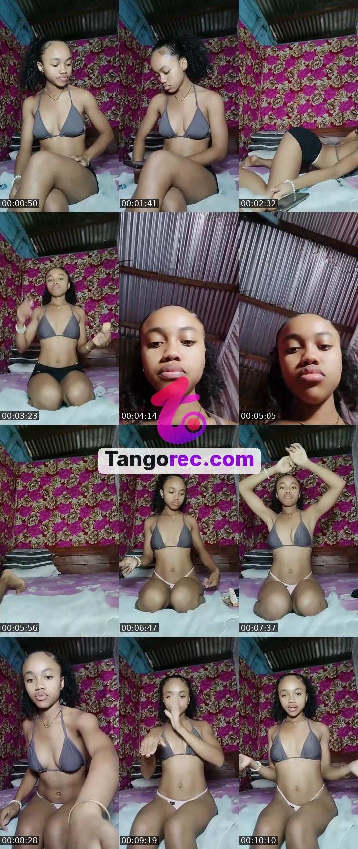 @gloriousrhino-86019 Tango live from 2026-09-11