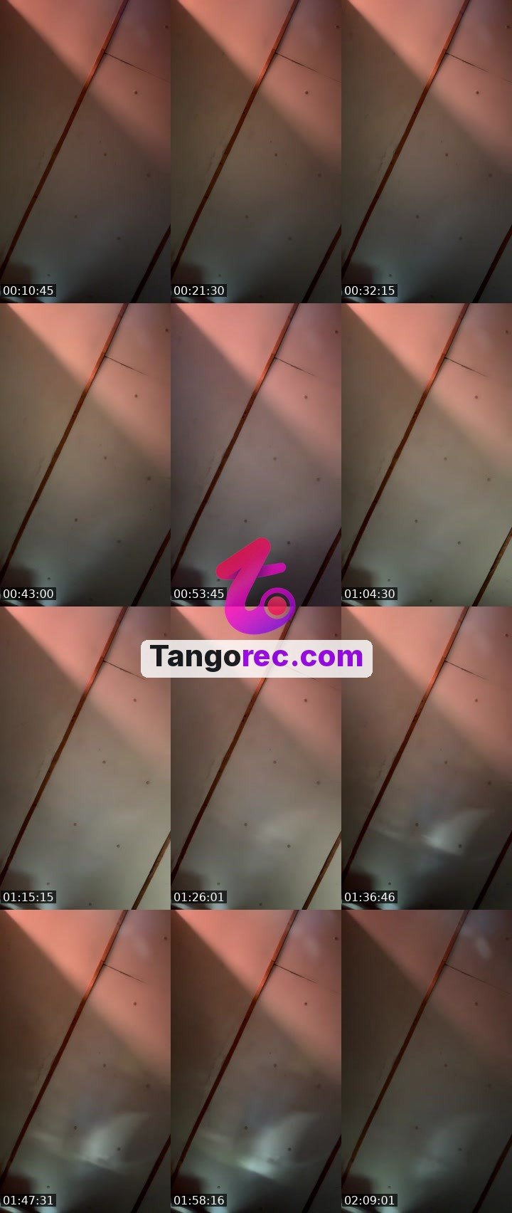 @blu_demon Tango live from 2026-09-11