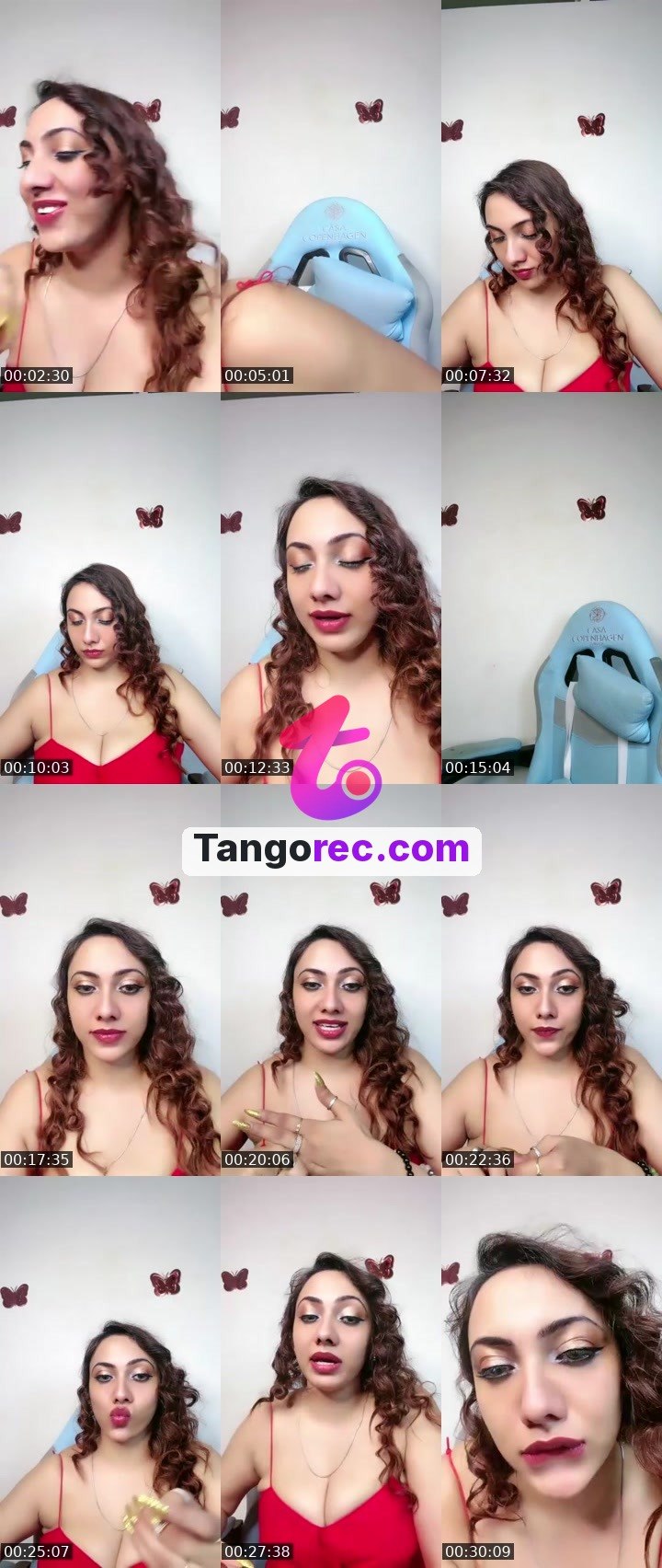 @tactical-bulldog-79078 Tango live from 2026-09-11