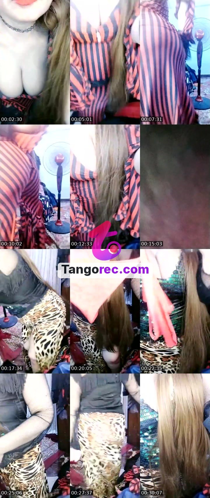 @zenelephant-259439 Tango live from 2026-09-11