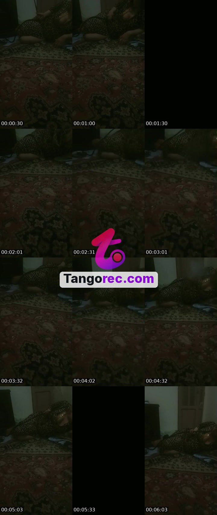 @obsidian-raven-54716 Tango live from 2026-09-11