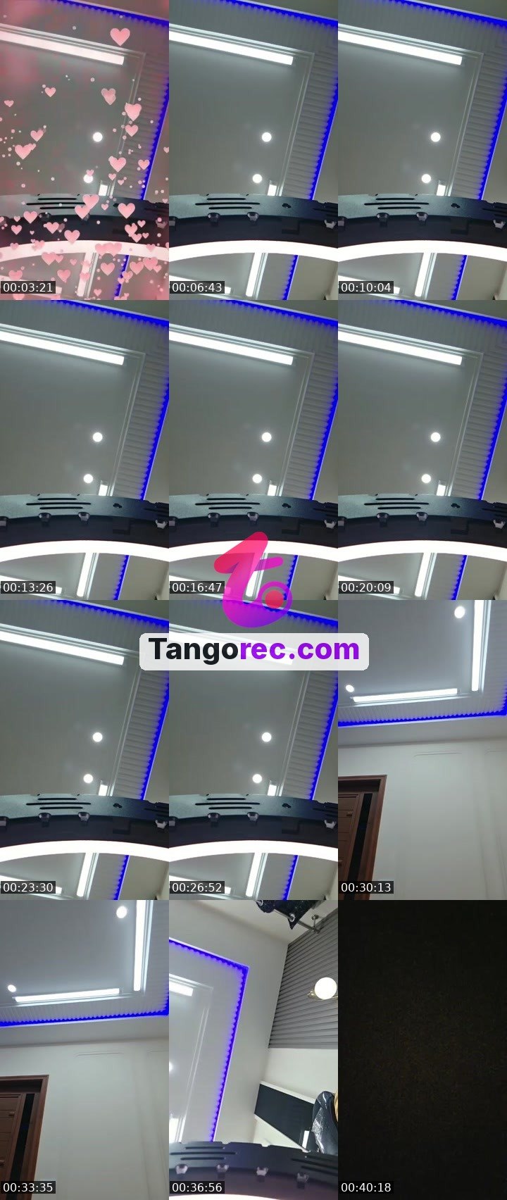 @micky78 Tango live from 2026-09-11