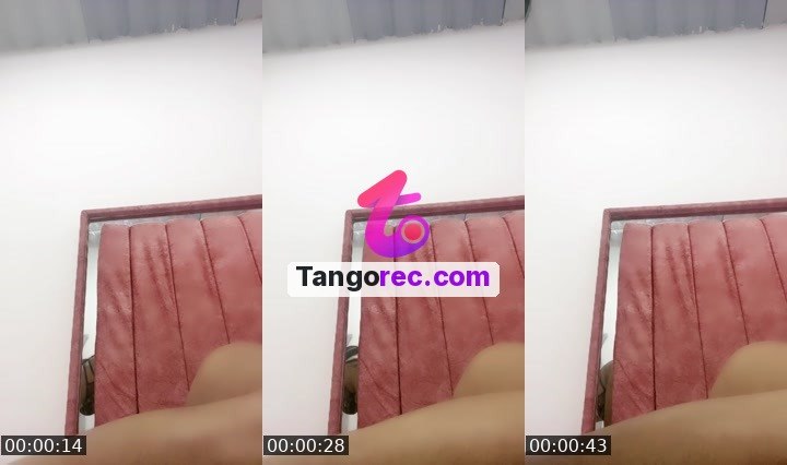 @mmmmm911 Tango live from 2026-09-12