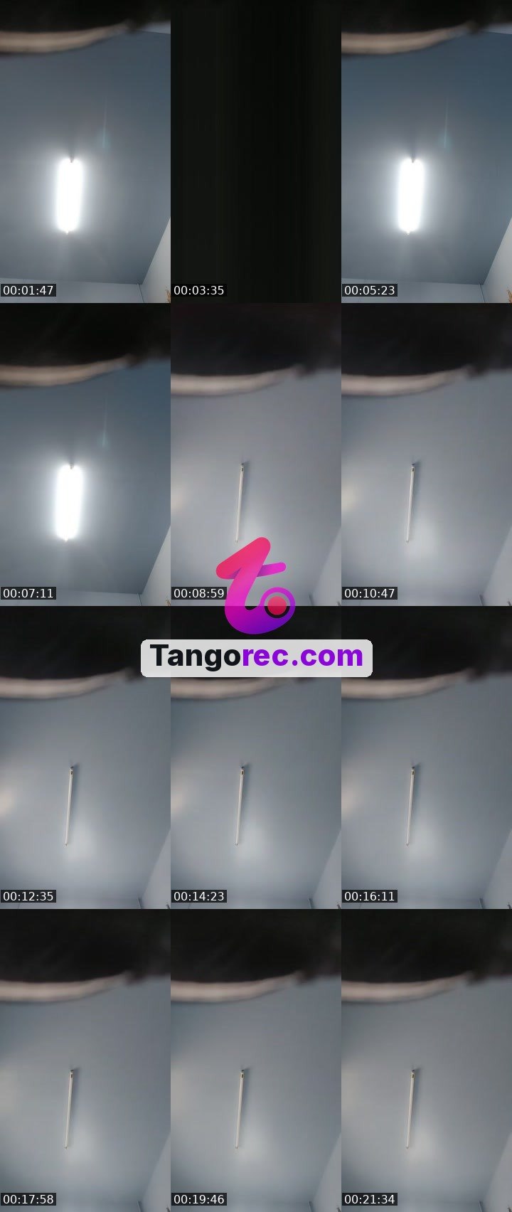 @stopwastingtime10 Tango live from 2026-09-12