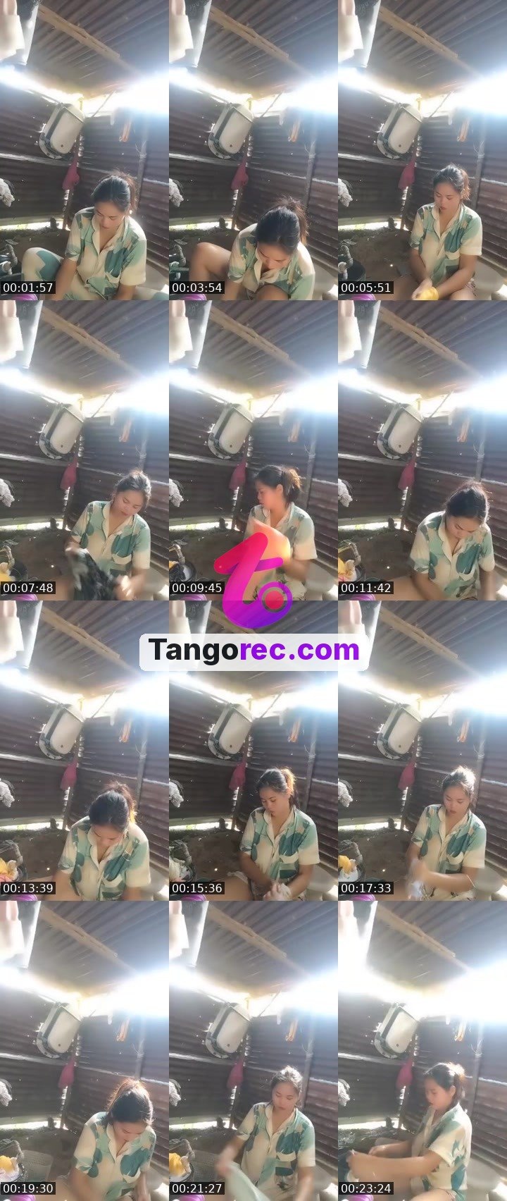 @nicekoala-66778 Tango live from 2026-09-12