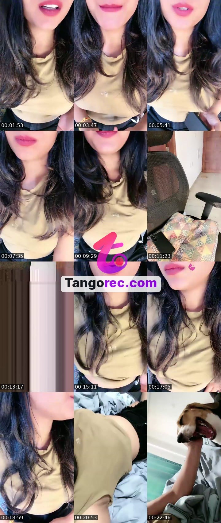 @different12 Tango live from 2026-09-12