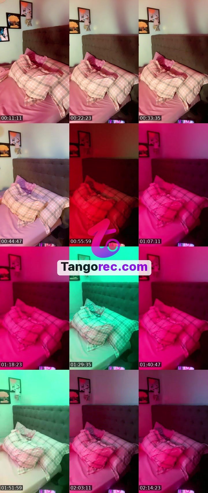 @unknown-panda-59716 Tango live from 2026-09-12
