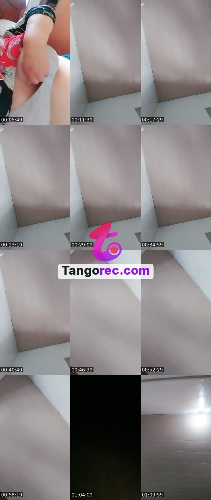 @zingollulu Tango live from 2026-09-12