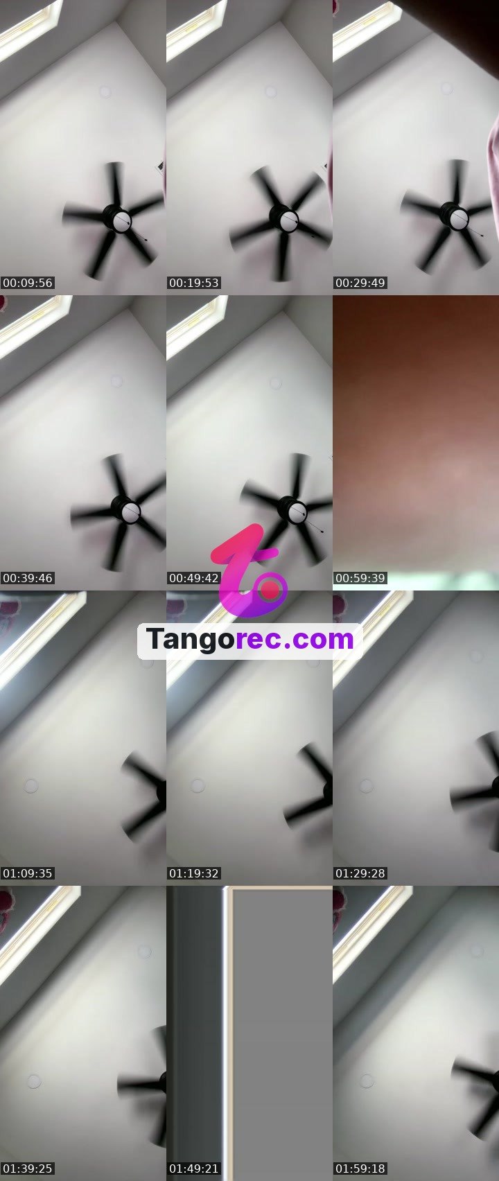 @ofnairobiii Tango live from 2026-09-12