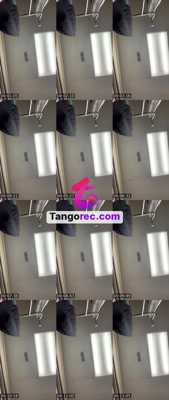 @to3chee Tango live from 2026-09-12