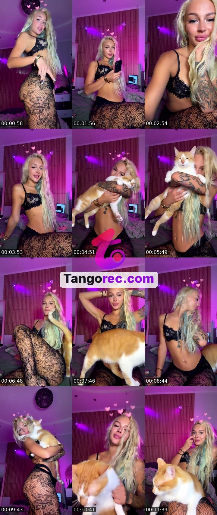 @honey_pieee Tango live from 2026-09-12
