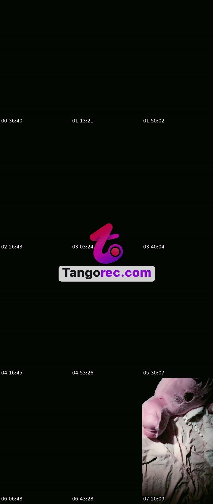 @dzluluksa Tango live from 2026-09-12
